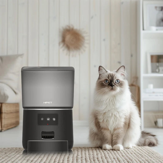 4L Automatic Smart Pet Feeder