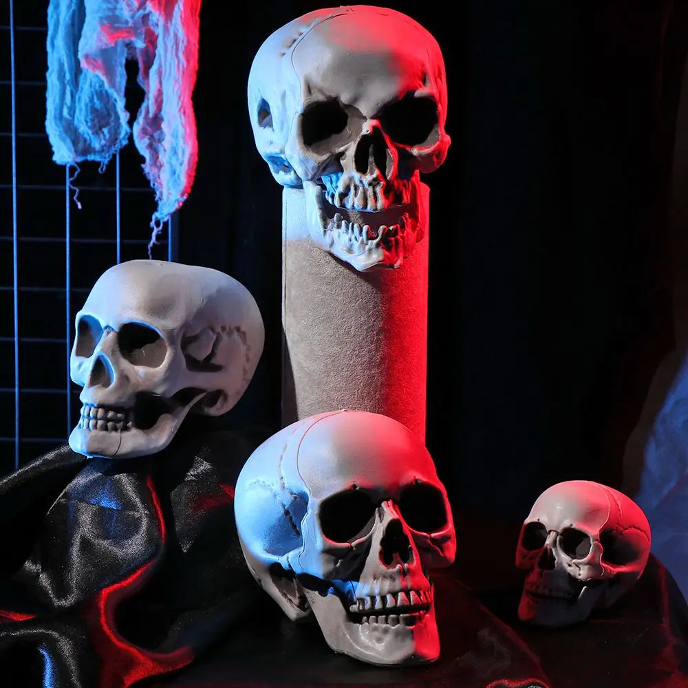 Halloween Human Skull Prop – Gothic Skeleton Head Decoration