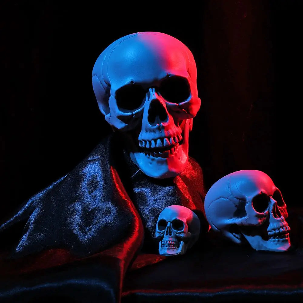 Halloween Human Skull Prop – Gothic Skeleton Head Decoration