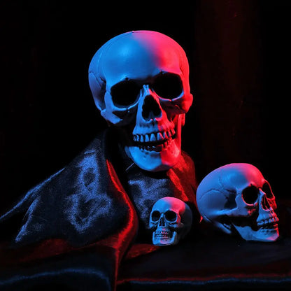 Halloween Human Skull Prop – Gothic Skeleton Head Decoration