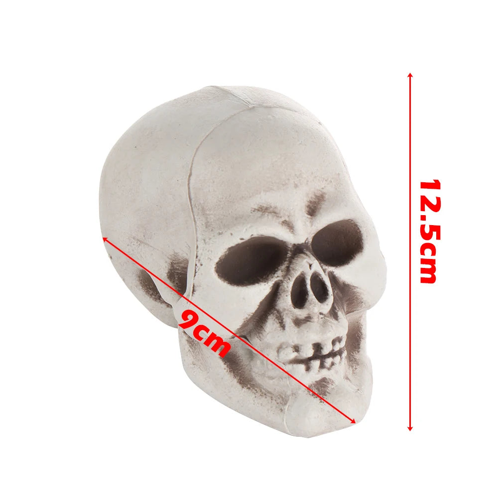 Halloween Human Skull Prop – Gothic Skeleton Head Decoration
