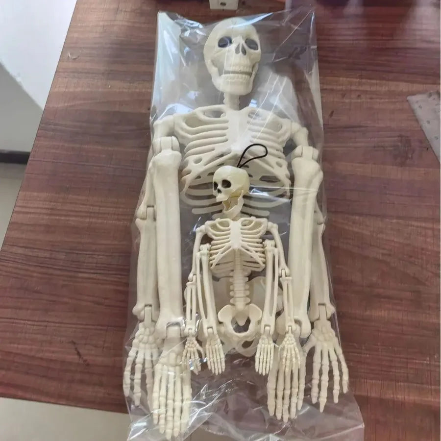 Halloween Movable Skeleton Skull & Bones – Horror Party Decor, Haunted House Prop & Halloween Ornament