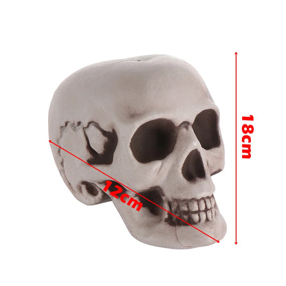 Halloween Human Skull Prop – Gothic Skeleton Head Decoration