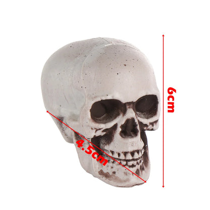 Halloween Human Skull Prop – Gothic Skeleton Head Decoration
