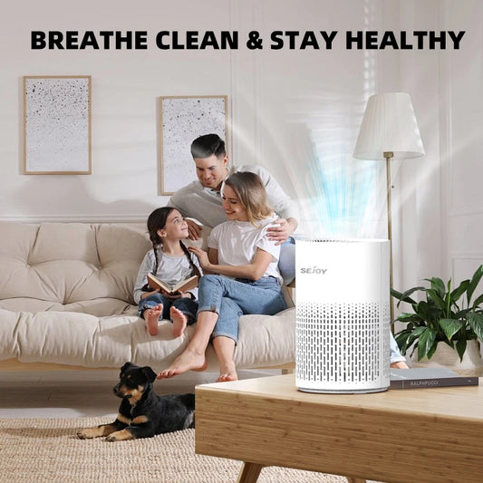 True HEPA Home Air Purifier