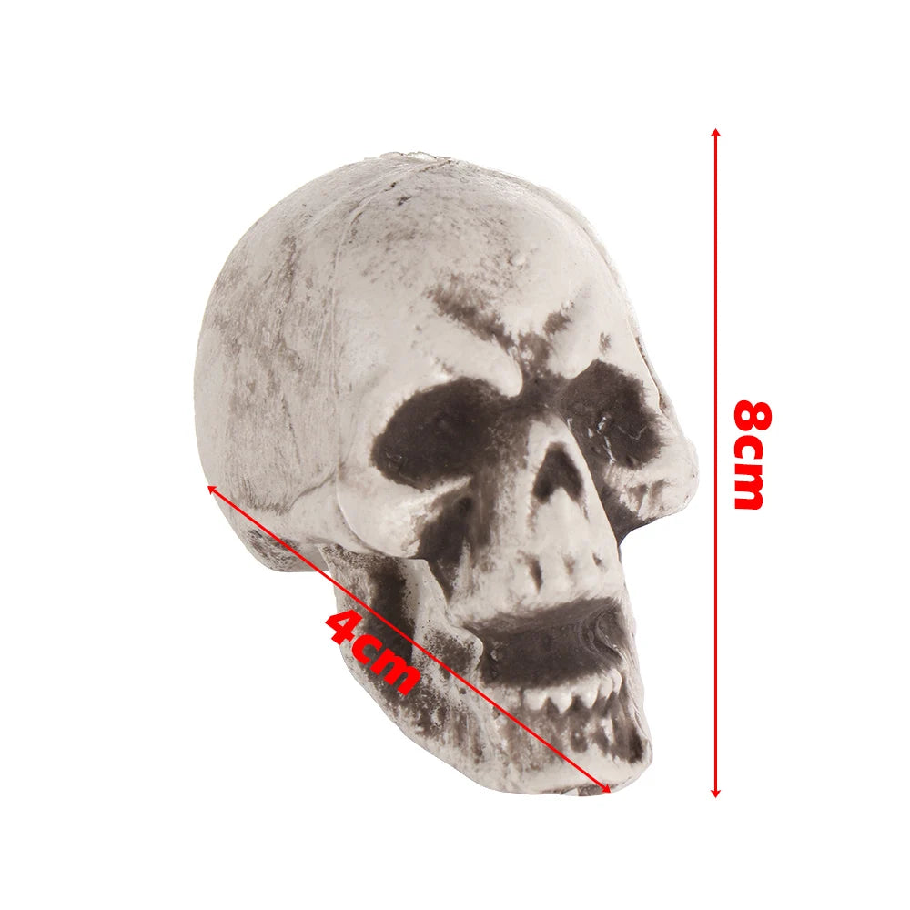 Halloween Human Skull Prop – Gothic Skeleton Head Decoration