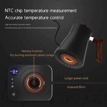 Electric Gooseneck Coffee Kettle