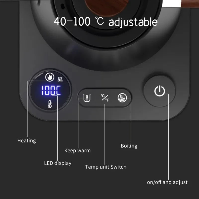 Electric Gooseneck Coffee Kettle