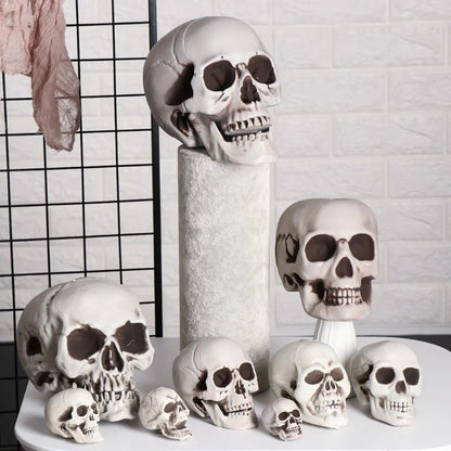 Halloween Human Skull Prop – Gothic Skeleton Head Decoration