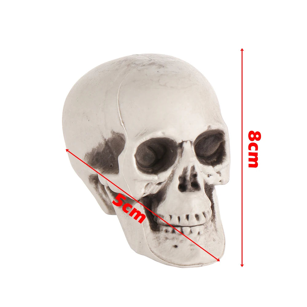 Halloween Human Skull Prop – Gothic Skeleton Head Decoration