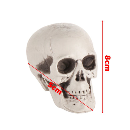 Halloween Human Skull Prop – Gothic Skeleton Head Decoration