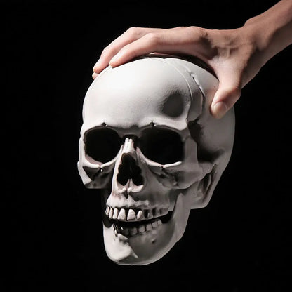 Halloween Human Skull Prop – Gothic Skeleton Head Decoration