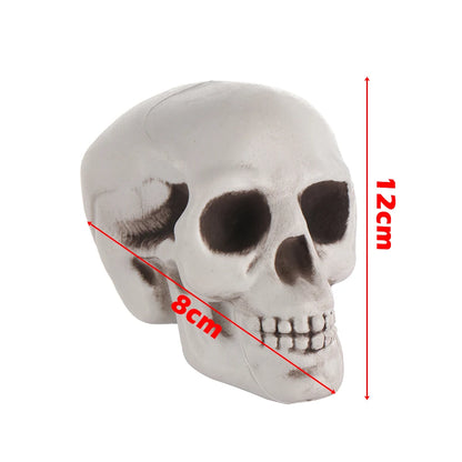 Halloween Human Skull Prop – Gothic Skeleton Head Decoration