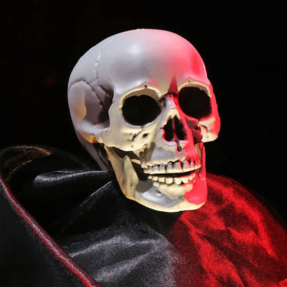 Halloween Human Skull Prop – Gothic Skeleton Head Decoration