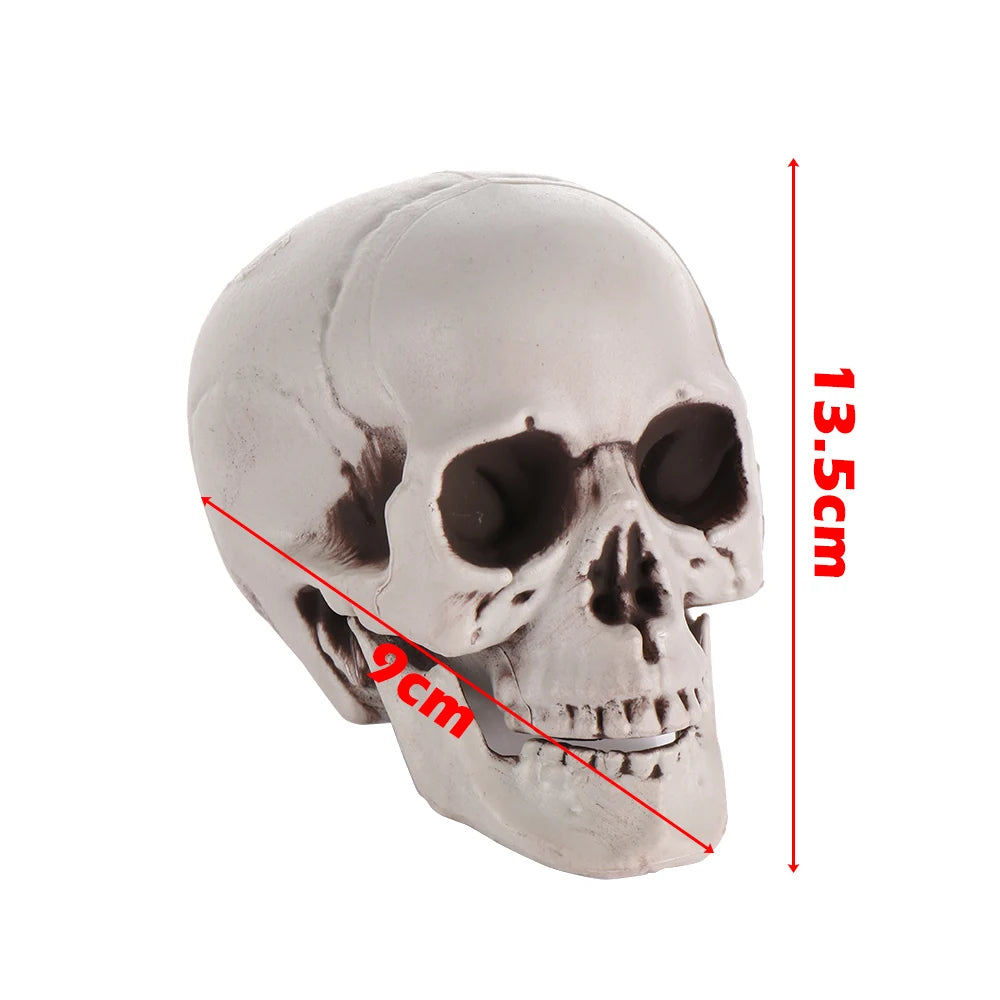 Halloween Human Skull Prop – Gothic Skeleton Head Decoration