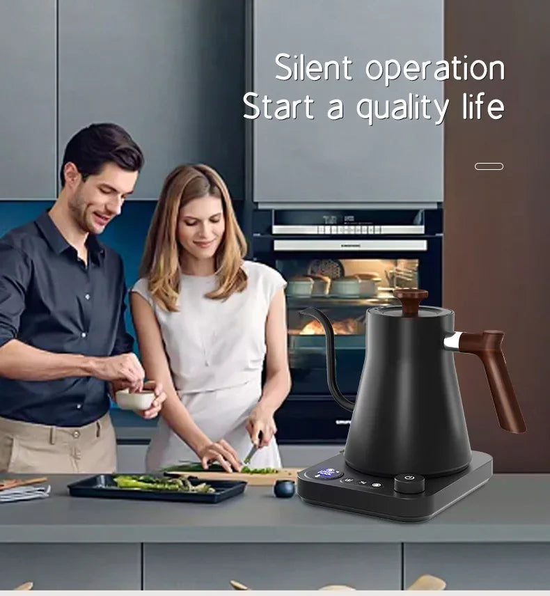 Electric Gooseneck Coffee Kettle