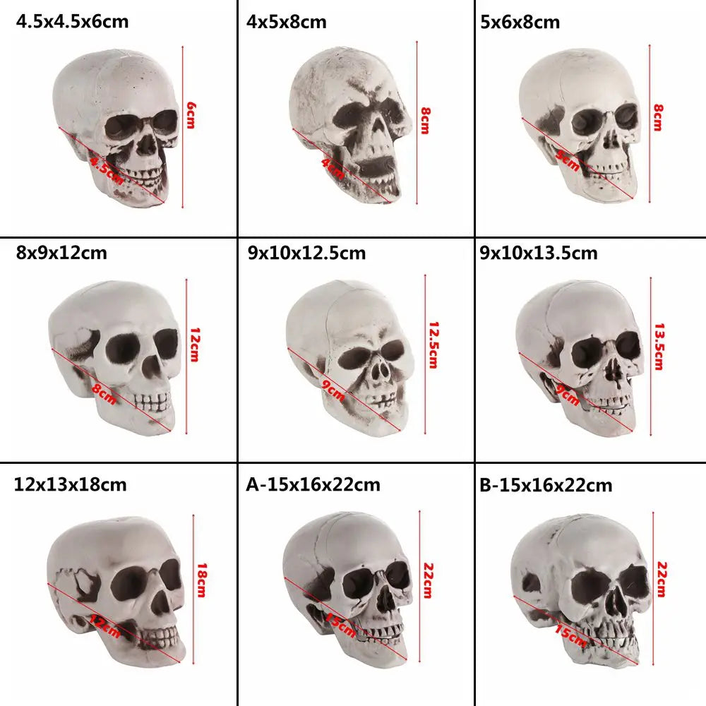 Halloween Human Skull Prop – Gothic Skeleton Head Decoration