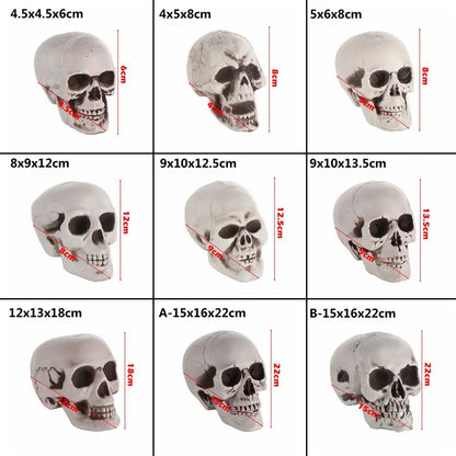 Halloween Human Skull Prop – Gothic Skeleton Head Decoration